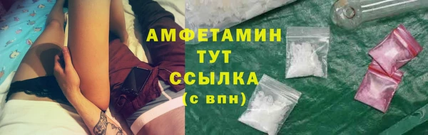 стаф Вязники
