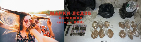 стаф Вязники