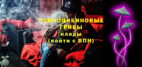 стаф Вязники