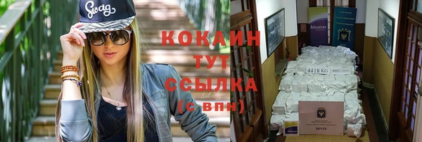 стаф Вязники