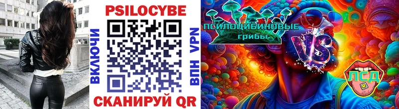 Галлюциногенные грибы мицелий  где купить наркоту  блэк спрут ONION  Самара 